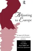 Adjusting to Europe