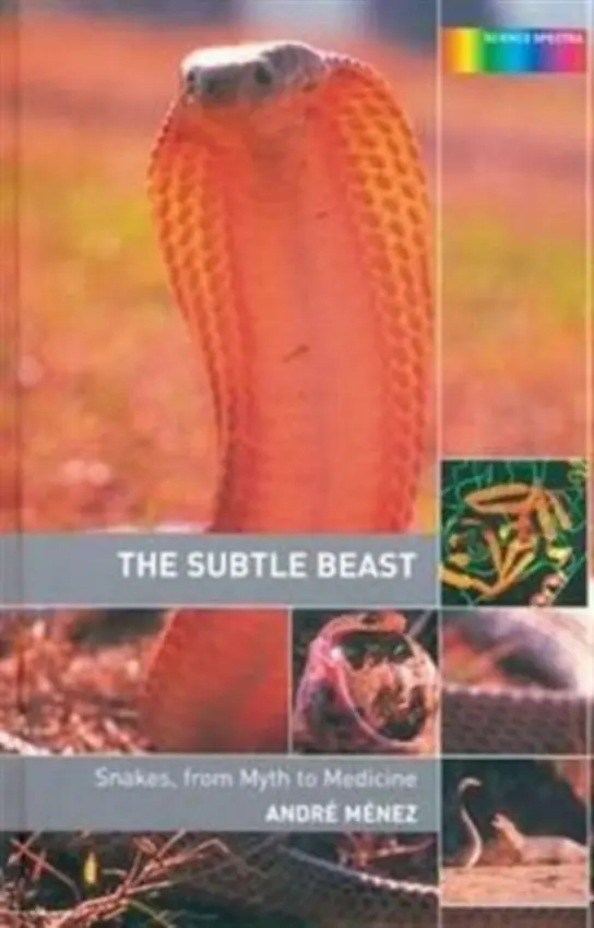 Subtle Beast - Menez, Andre