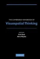 Cambridge Handbook of Visuospatial Thinking