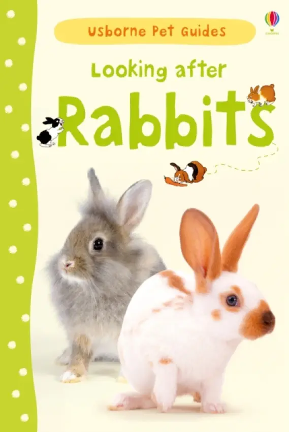 Looking after Rabbits - Patchett, Fiona