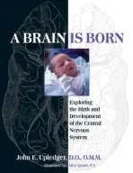 Brain Is Born - Upledger, John E.