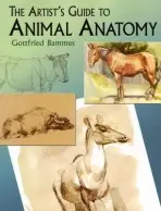 The Artist's Guide To Animal Anatomy - Bammes Gottfried