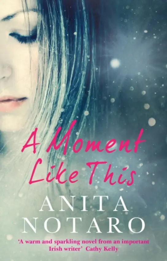 Moment Like This - Notaro, Anita