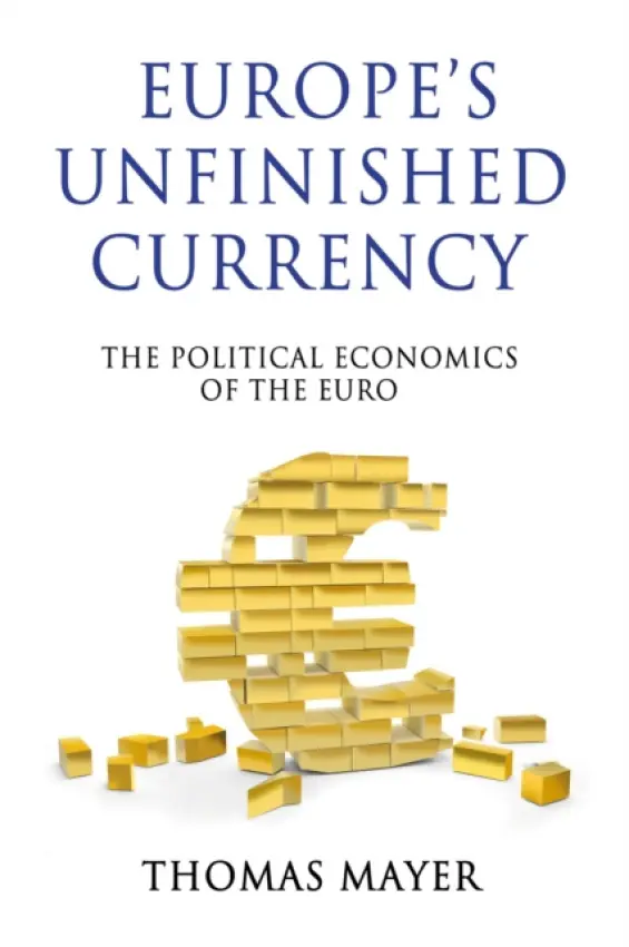 Europe's Unfinished Currency - Mayer, Thomas