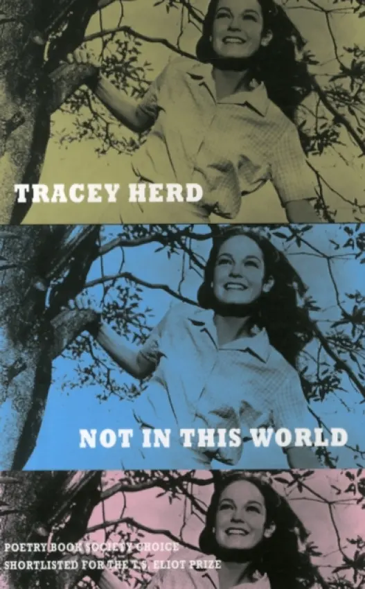 Not in This World - Herd, Tracey