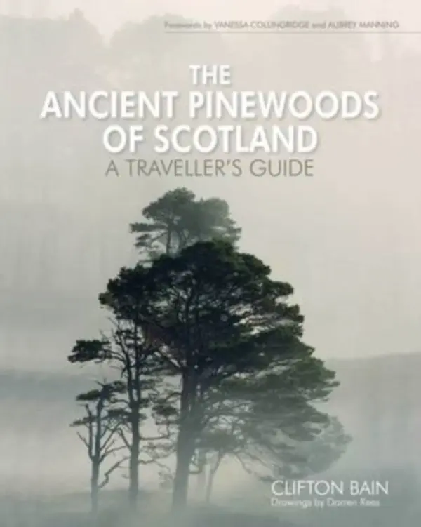 Ancient Pinewoods of Scotland - Bain, Clifton