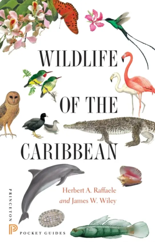 Wildlife of the Caribbean - Raffaele, Herbert A. a Wiley, James