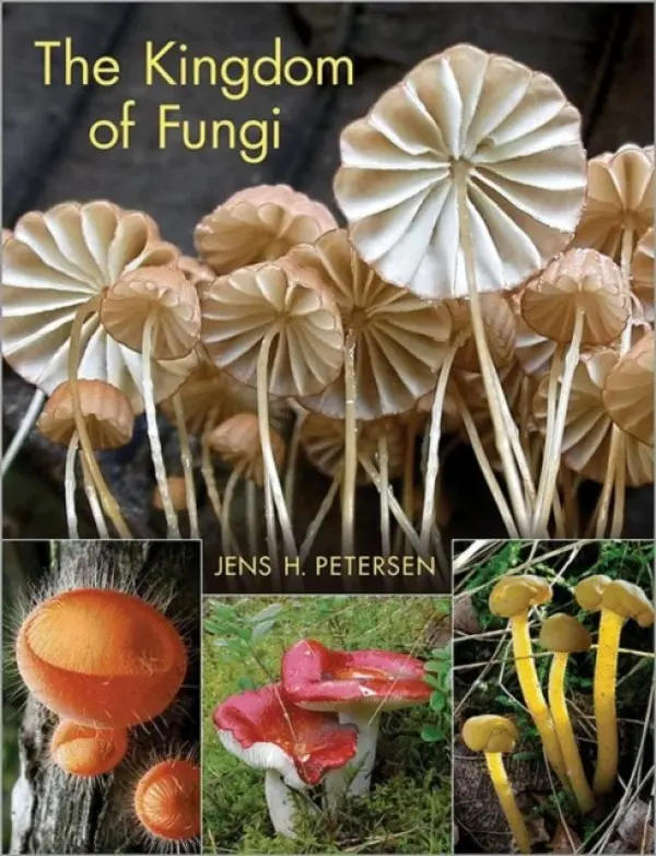 Kingdom of Fungi - Petersen, Jens H.