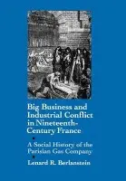 Big Business and Industrial Conflict in Nineteenth-Century France - Berlanstein, Lenard R.