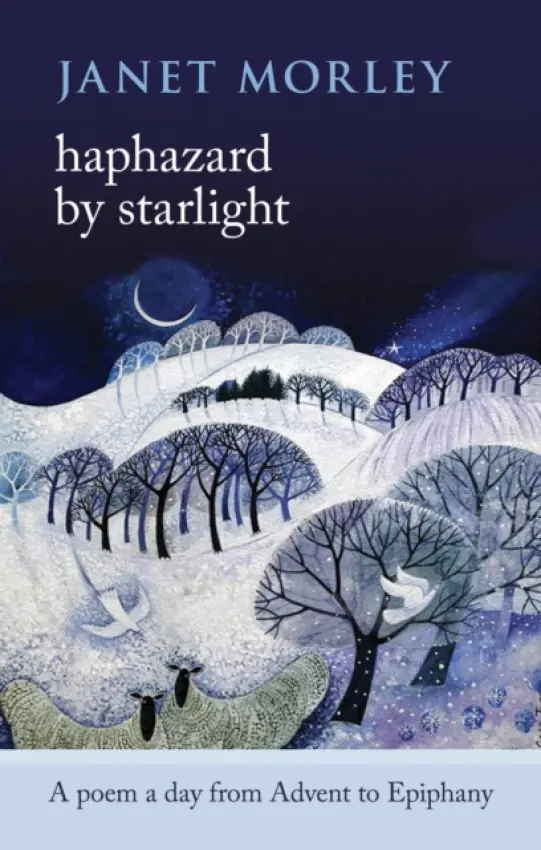 Haphazard by Starlight - Morley, Janet