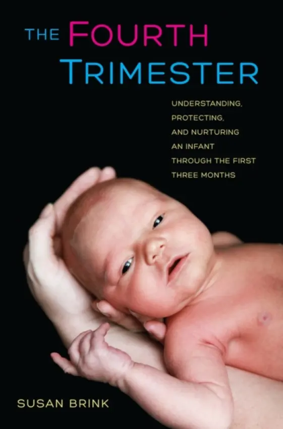 Fourth Trimester - Brink, Susan