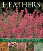 Heathers - Mikolajski, Andrew