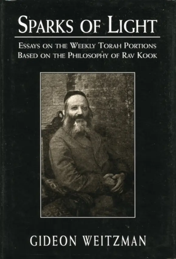 Sparks of Light - Weitzman, Gideon