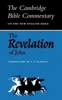 Revelation of John - Glasson, T. F.
