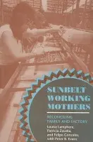 Sunbelt Working Mothers - Lamphere, Louise a Zavella, Patricia a Gonzales, Felipe