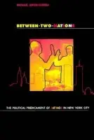 Between Two Nations - Jones-Correa, Michael