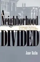 Neighborhood Divided - Balin, Jane