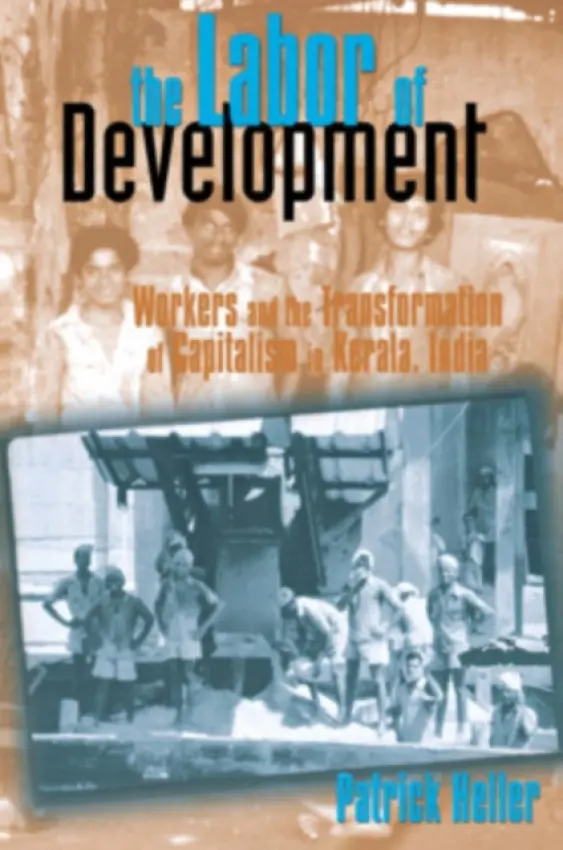 Labor of Development - Heller, Patrick