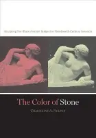 Color of Stone - Nelson, Charmaine A.