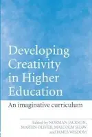 Developing Creativity in Higher Education