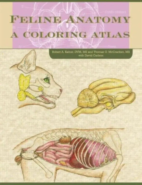 Feline Anatomy - McCraken, Thomas O., MS (International University of Nursing, KN) a Kainer, Robert A. a Carlson, David (Carlson - Art, USA) a Fails, Anna Dee, Ph.D, DVM (Colorado State University, USA)
