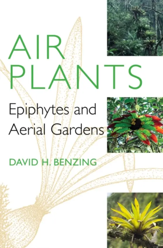 Air Plants - Benzing, David H.