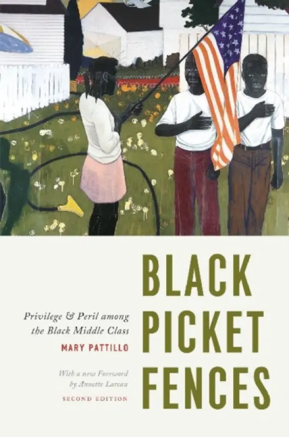 Black Picket Fences - Pattillo, Mary