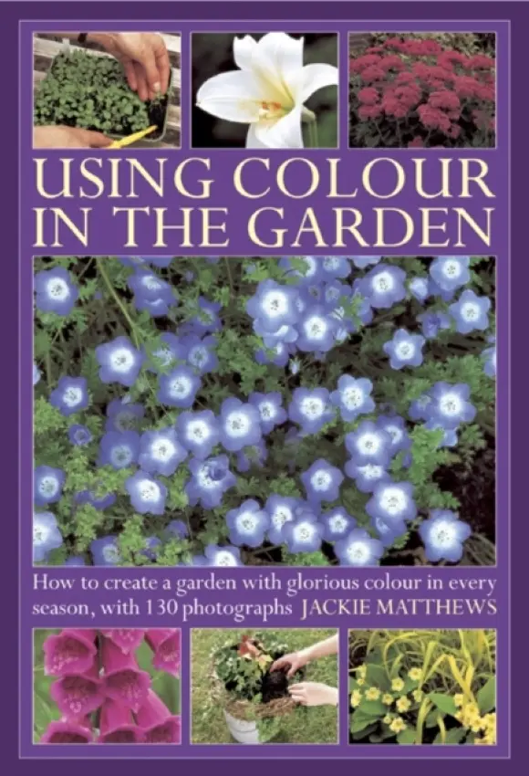 Using Colour in the Gardens - Matthews, Jackie