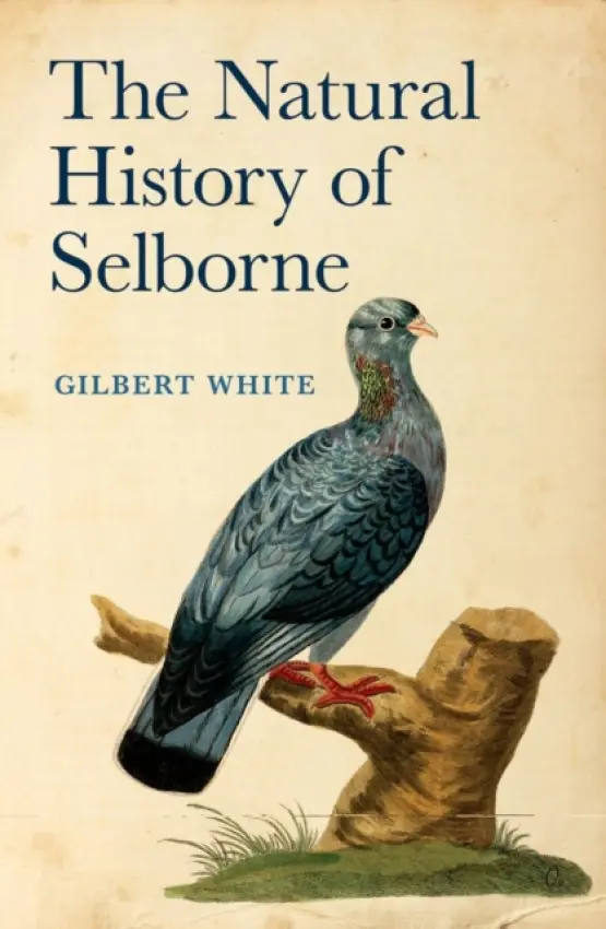 Natural History of Selborne - White, Gilbert