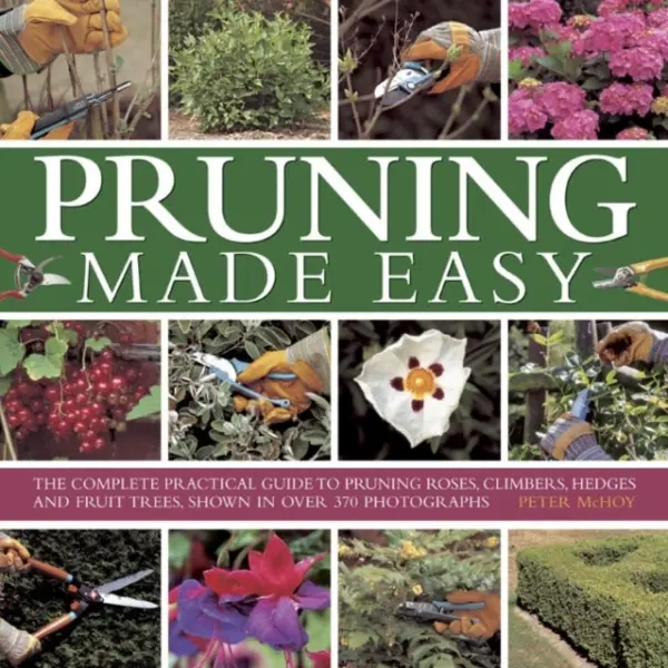 Pruning Made Easy - Mchoy Peter