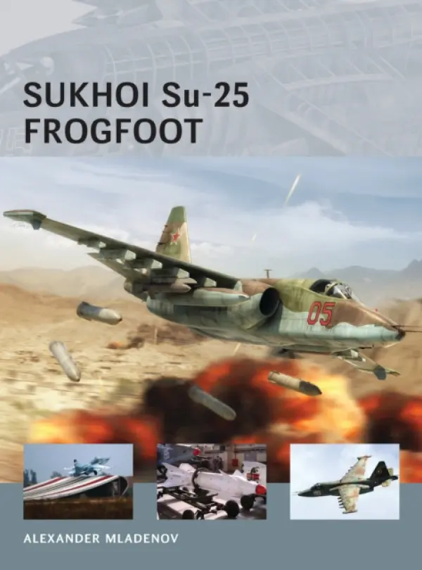 Sukhoi Su-25 Frogfoot - Mladenov, Alexander