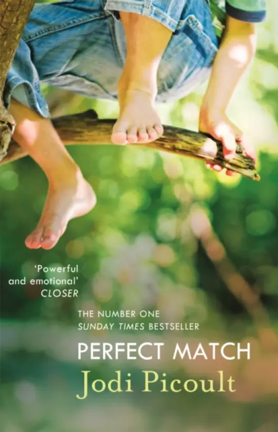 Perfect Match - Jodi Picoultová