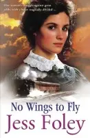 No Wings To Fly - Foley, Jess