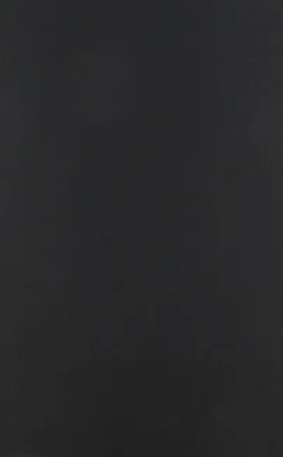 Behind the Academic Curtain - Furstenberg, Frank F., Jr.