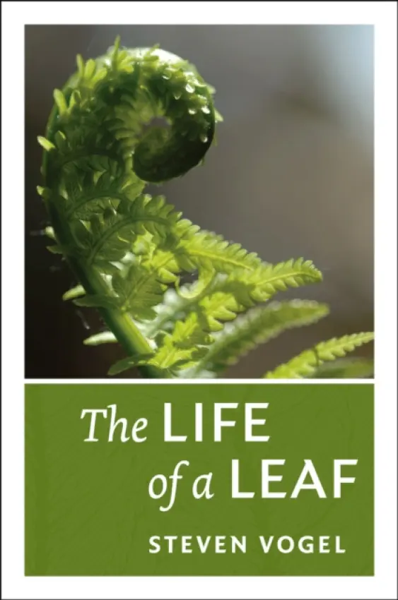 Life of a Leaf - Vogel, Steven (Duke University, North Carolina)