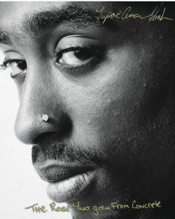Rose that Grew from Concrete - Shakur, Tupac