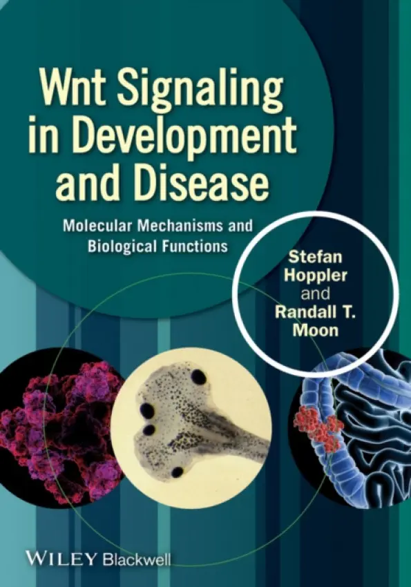 Wnt Signaling in Development and Disease - Hoppler, Stefan P. a Moon, Randall T.