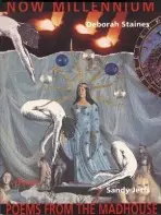 Now Millenium / Poems from the Madhouse - Jeffs Sandy a Staines Deborah