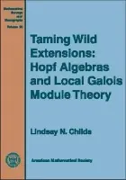 Taming Wild Extensions
