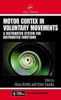 Motor Cortex in Voluntary Movements