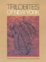 Trilobites of New York - Whiteley, Thomas E. a Kloc, Gerald J. a Brett, Carlton E.