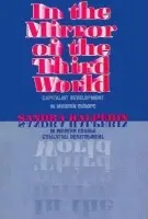 In the Mirror of the Third World - Halperin, Sandra