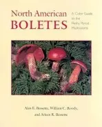 North American Boletes - Bessette, Alan E.