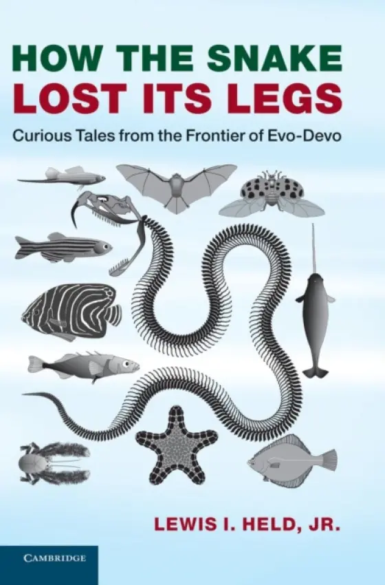 How the Snake Lost its Legs - Held, Jr, Lewis I. (Texas Tech University)