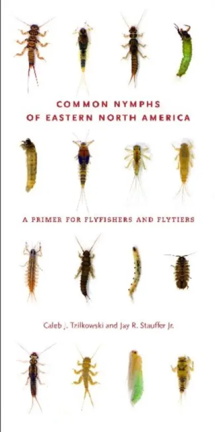 Common Nymphs of Eastern North America - Tzilkowski, Caleb J. (Aquatic Ecologist, National Park Service, Eastern Rivers and Mountains Network) a Stauffer Jr., Jay R. (Distinguished Professor of Ichthyology, Penn State)