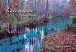 Ichetucknee
