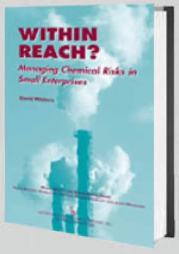 Within Reach? - Walters, David