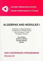 Algebras and Modules, Volume 1 - Reiten, Idun a etc.