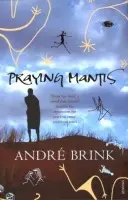 Praying Mantis - Brink, Andre