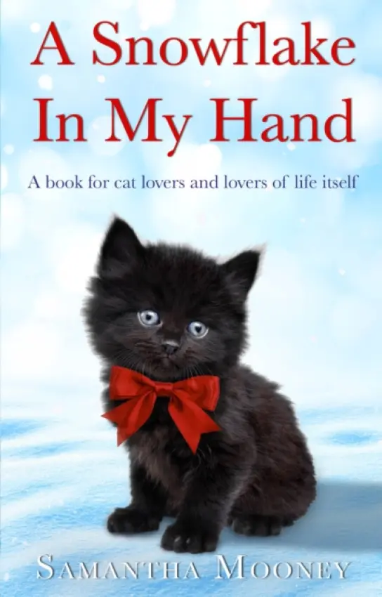 Snowflake In My Hand - Mooney, Samantha